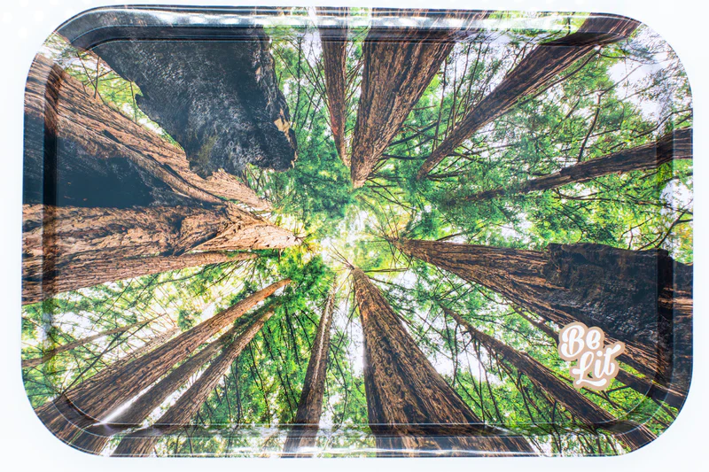 Be Lit - Medium Rolling Tray - Image 4