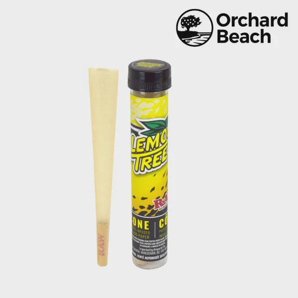 RAW x Orchard Beach Farms  Cone - Image 3