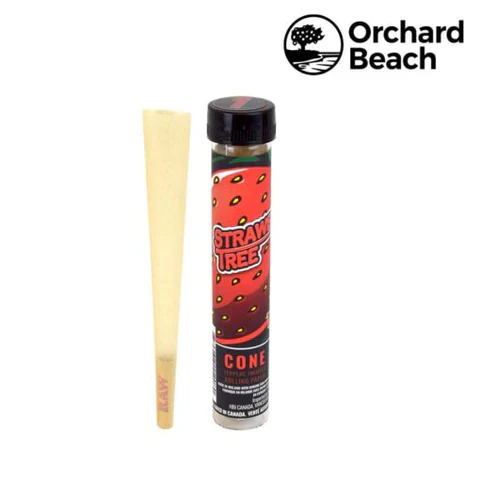 RAW x Orchard Beach Farms  Cone - Image 4